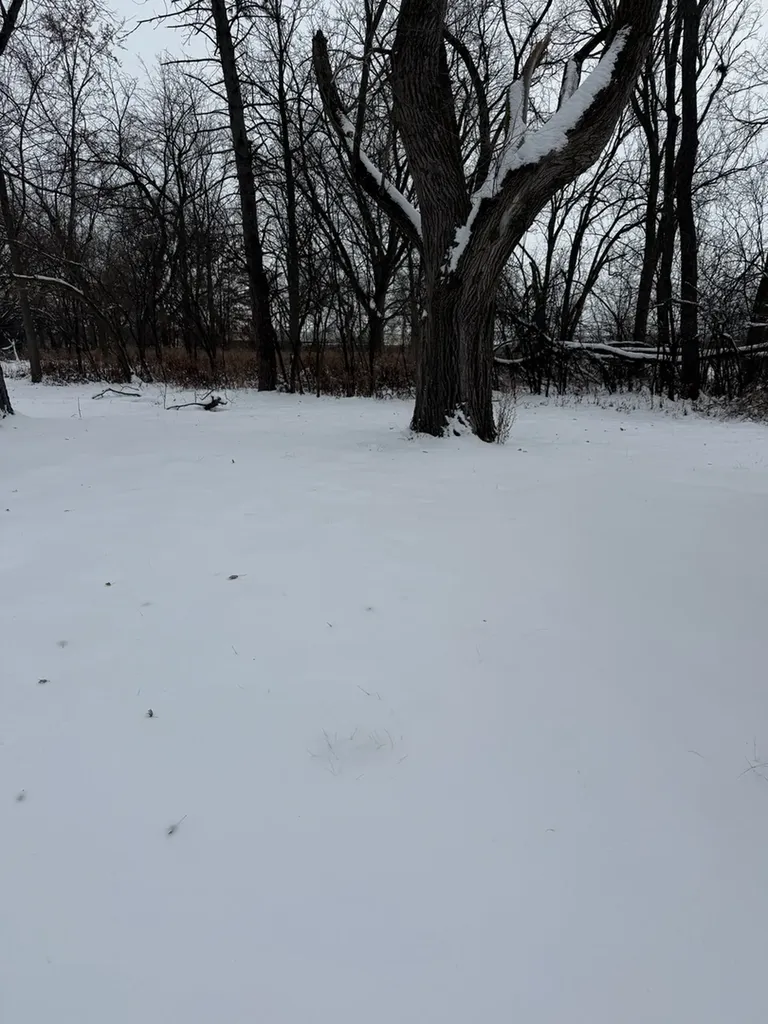 19611 Crawford Avenue Flossmoor IL 60422