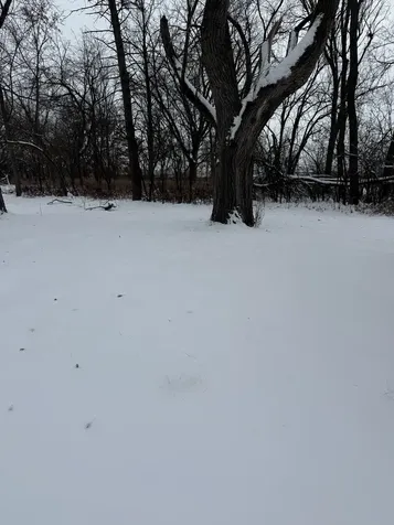 19611 Crawford Avenue Flossmoor IL 60422