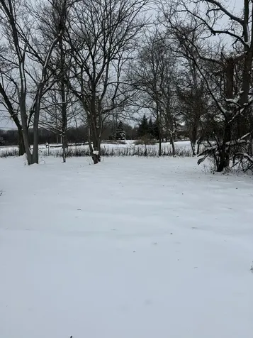 19611 Crawford Avenue Flossmoor IL 60422