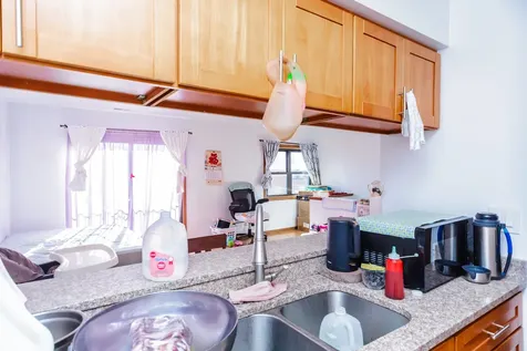 335 West 23rd Street Chicago IL 60616