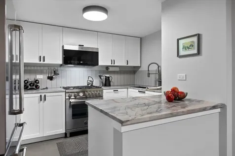 159 West Burton Place Chicago IL 60610