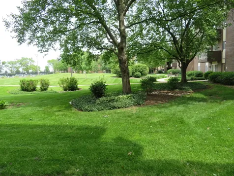 1311 South Finley Road Lombard IL 60148