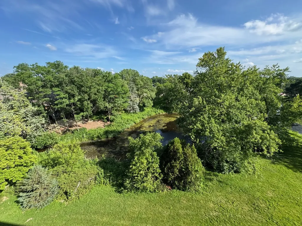 500 Redondo Drive Downers Grove IL 60516