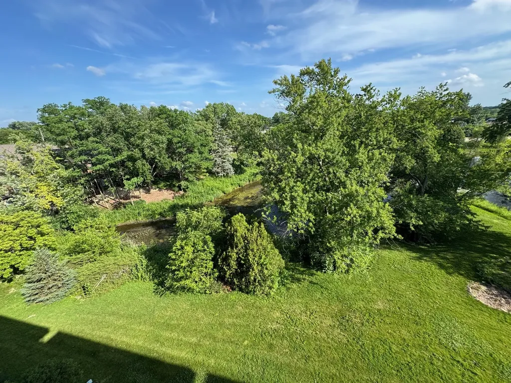 500 Redondo Drive Downers Grove IL 60516