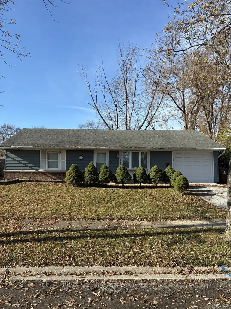 22206 Hawthorne Way Richton Park IL 60471