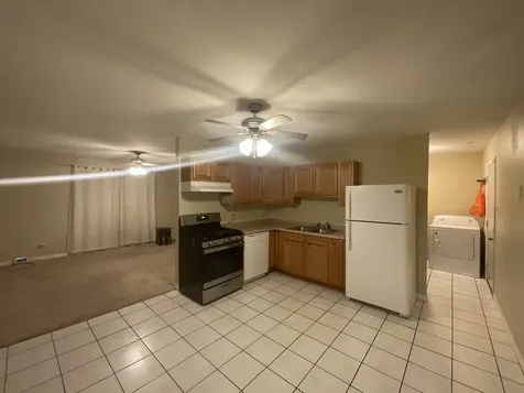 22206 Hawthorne Way Richton Park IL 60471