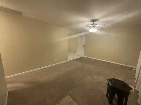 22206 Hawthorne Way Richton Park IL 60471