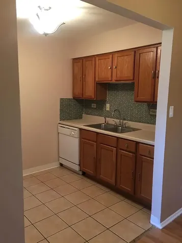 5715 Dutch Mill Court Hanover Park IL 60133