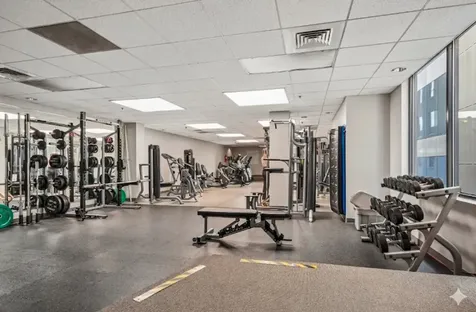 910 South Michigan Avenue Chicago IL 60605