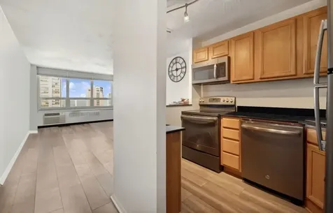 88 West Schiller Street Chicago IL 60610