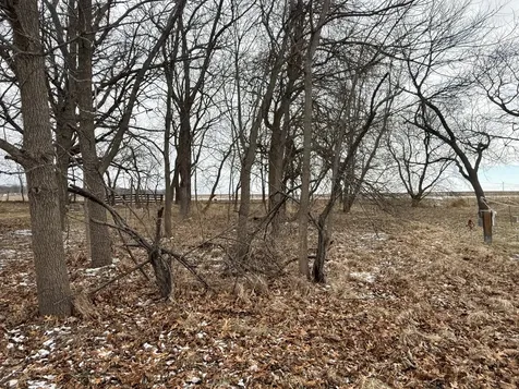 11-45 Woodhaven Lakes Sublette IL 61367