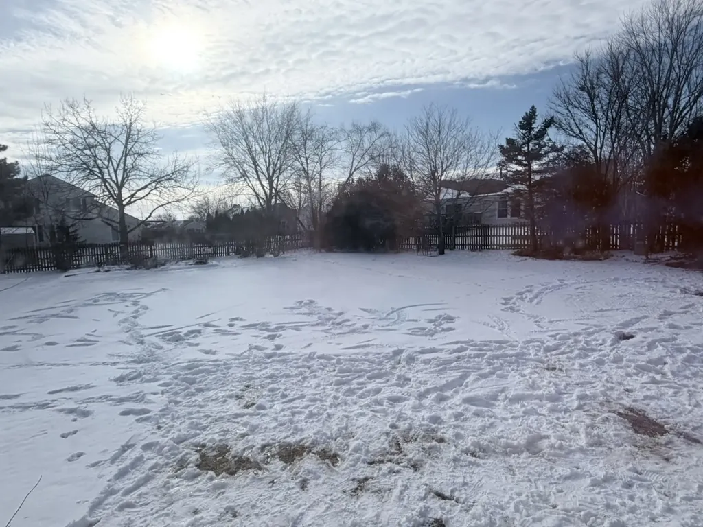 1817 Altoona Court Schaumburg IL 60194