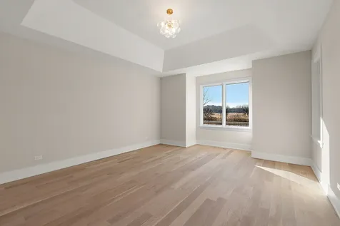 11129 Lizmore Lane Orland Park IL 60467