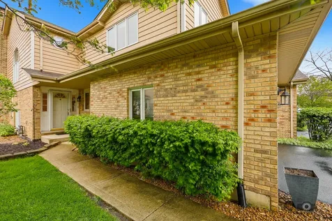 8111 Brushwood Lane Tinley Park IL 60487