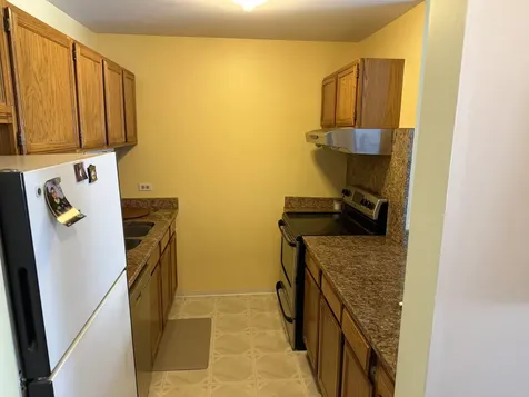 3265 Kirchoff Road Rolling Meadows IL 60008