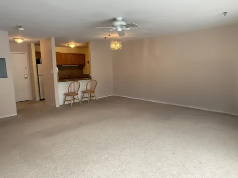 3265 Kirchoff Road Rolling Meadows IL 60008