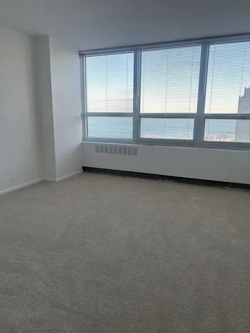 4800 South Chicago Beach Drive Chicago IL 60615