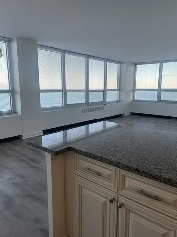 4800 South Chicago Beach Drive Chicago IL 60615