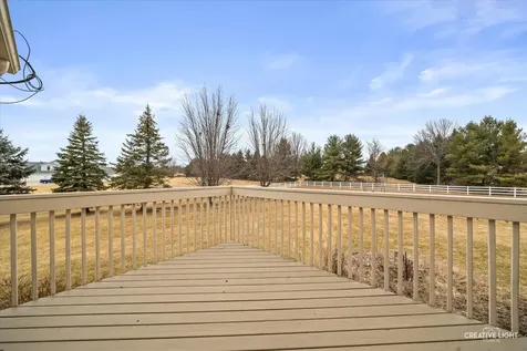 1813 Winchester Court Oswego IL 60543