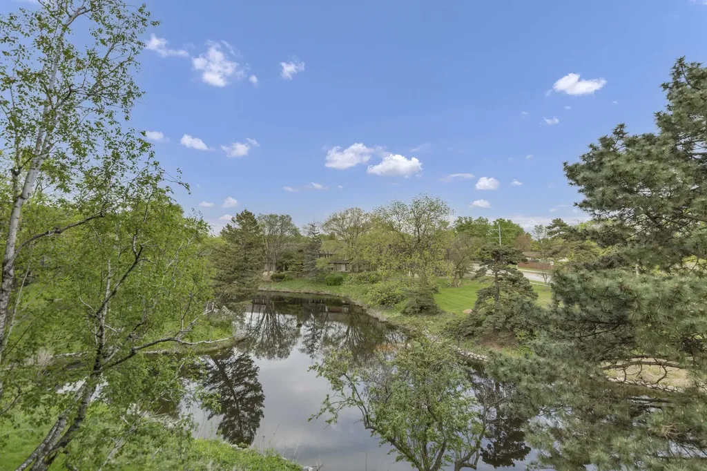 8025 Woodglen Lane Downers Grove IL 60516