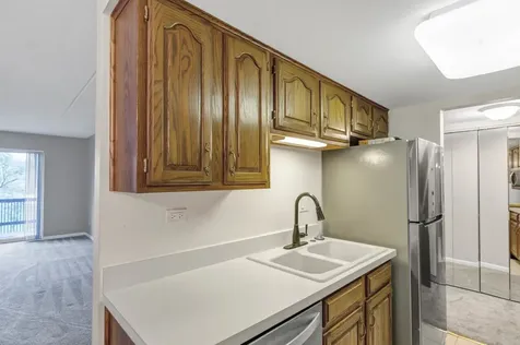 8025 Woodglen Lane Downers Grove IL 60516