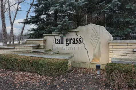 3807 Landsdown Avenue Naperville IL 60564