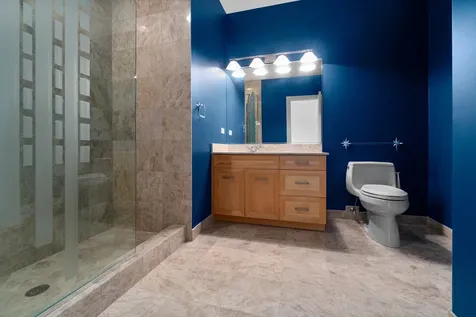 53 Abbeyfeale Drive Oswego IL 60543