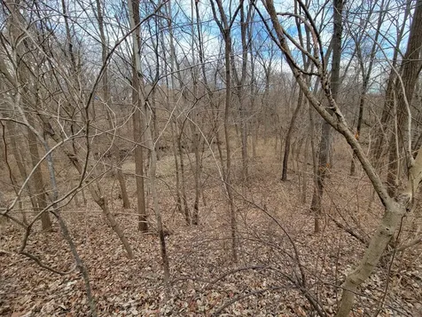 408 East 4th Street Spring Valley IL 61362