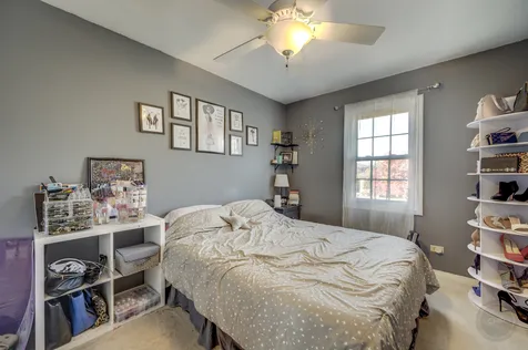 1133 Jennifer Lane Bolingbrook IL 60440