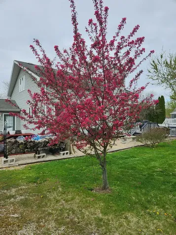 109 Largemouth Lane Wilmington IL 60481