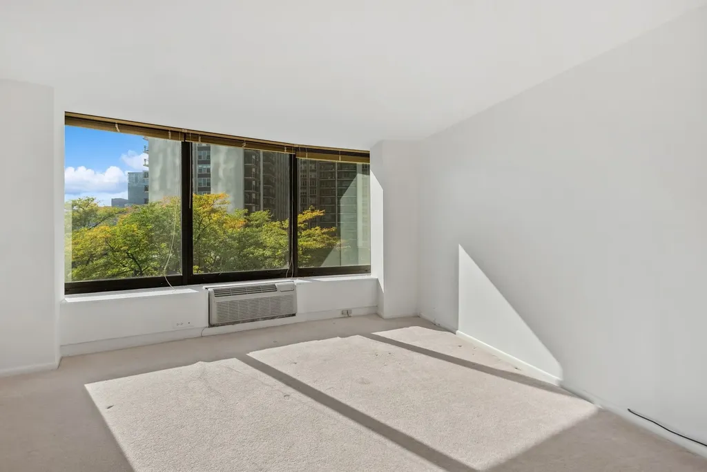 155 North Harbor Drive Chicago IL 60601