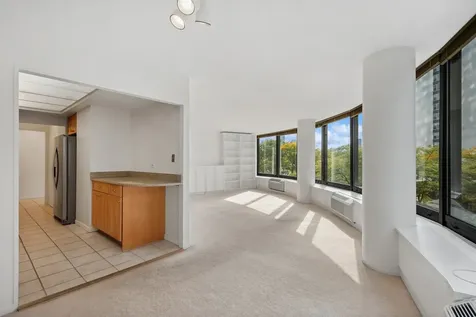 155 North Harbor Drive Chicago IL 60601