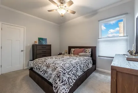 7251 South Paxton Avenue Chicago IL 60649