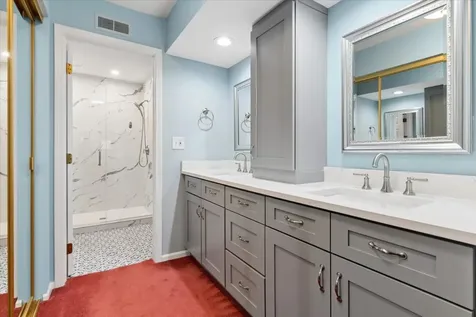 223 Winding Oak Lane Buffalo Grove IL 60089