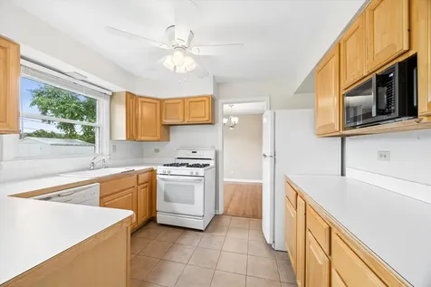 919 East Ironwood Drive Mount Prospect IL 60056