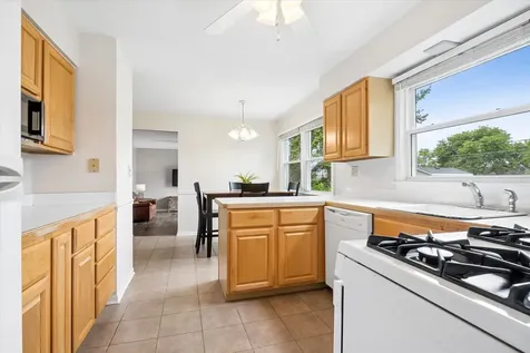 919 East Ironwood Drive Mount Prospect IL 60056