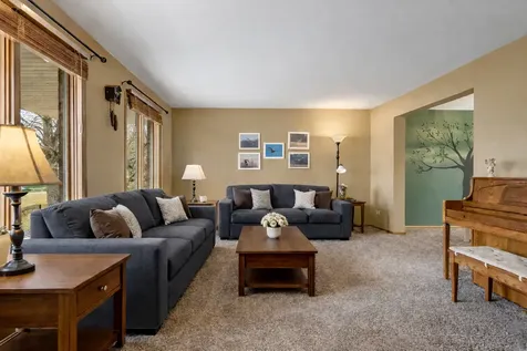 20224 East Lismore Circle Frankfort IL 60423