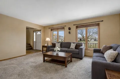 20224 East Lismore Circle Frankfort IL 60423