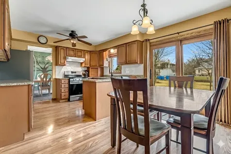 20224 East Lismore Circle Frankfort IL 60423