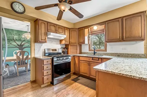 20224 East Lismore Circle Frankfort IL 60423