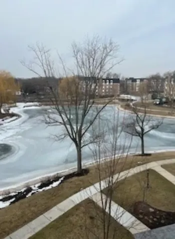 175 Lake Boulevard Buffalo Grove IL 60089