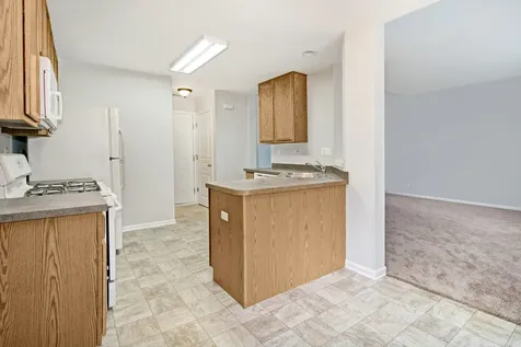 409 Metropolitan Street Aurora IL 60502