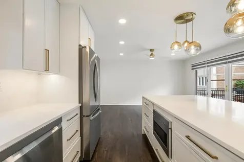1308 South Plymouth Court Chicago IL 60605