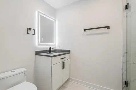 1308 South Plymouth Court Chicago IL 60605
