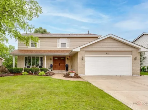 613 Thames Drive Schaumburg IL 60193