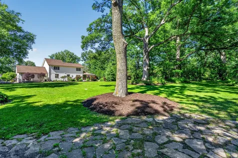 15641 West Stately Oaks Circle Homer Glen IL 60491