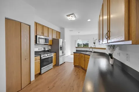 21143 Gray Hawk Drive Matteson IL 60443