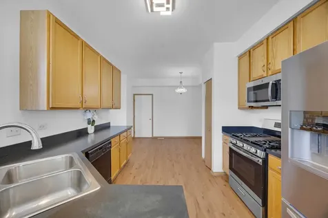 21143 Gray Hawk Drive Matteson IL 60443