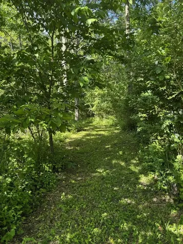 21177 North Valley Road Kildeer IL 60047