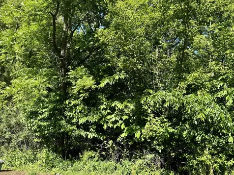 21177 North Valley Road Kildeer IL 60047